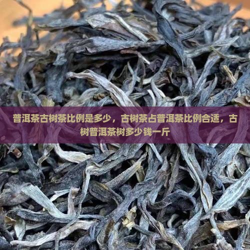 普洱茶古树茶比例是多少