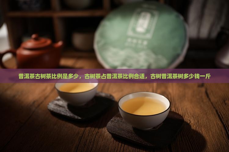 普洱茶古树茶比例是多少