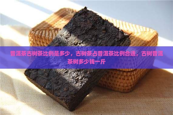 普洱茶古树茶比例是多少