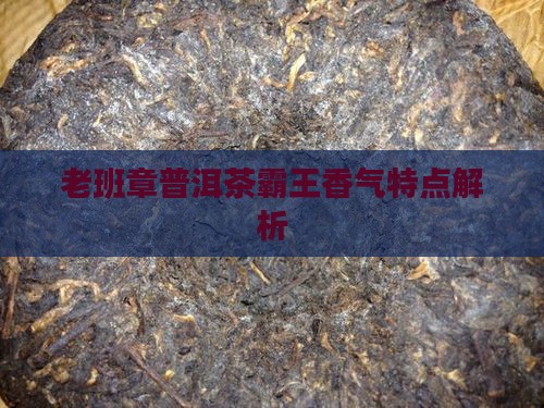 老班章普洱茶香味