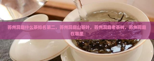 苏州洞庭什么茶