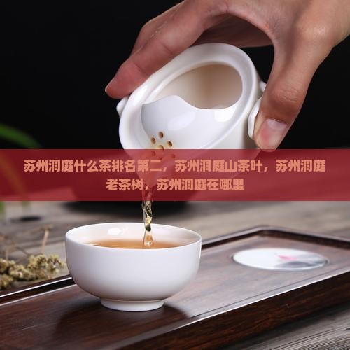 苏州洞庭什么茶