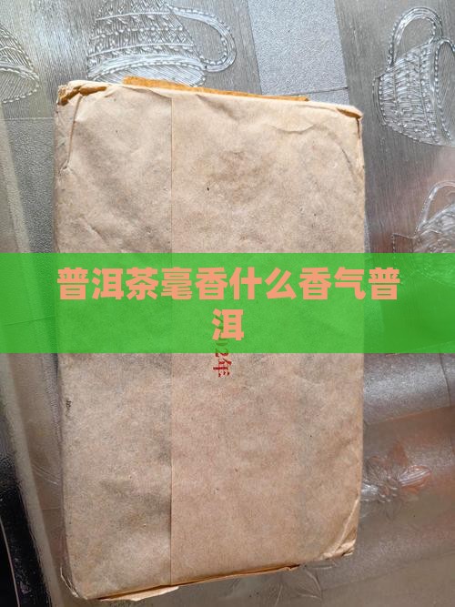 普洱茶的毫香茶