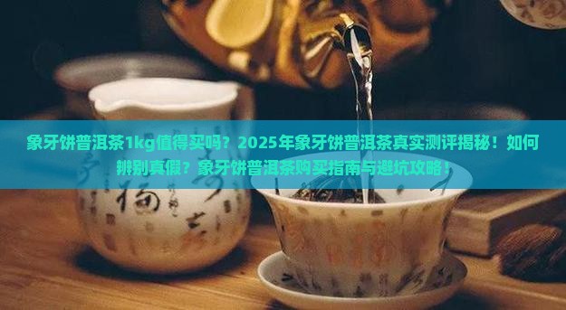 象牙饼普洱茶1kg