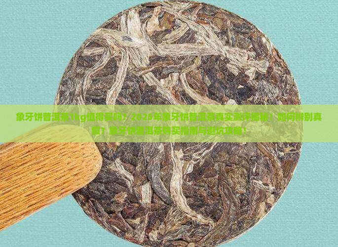 象牙饼普洱茶1kg