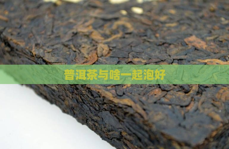 普洱茶与啥一起泡好
