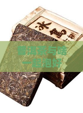普洱茶与啥一起泡好