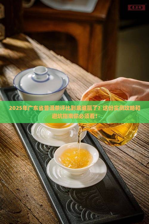 广东省普洱茶评比