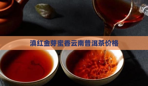 普洱茶滇红蜜香金芽