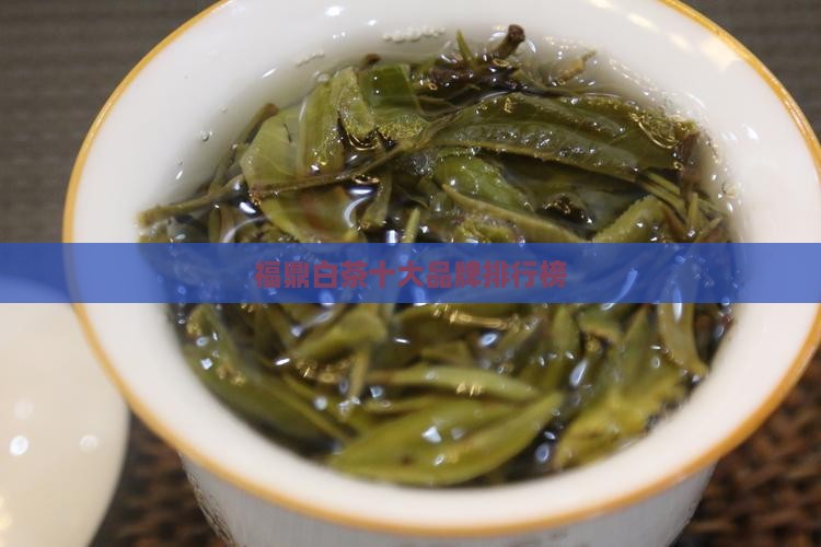 福鼎白茶企业排名
