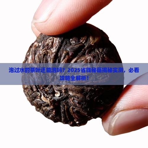 泡过水的茶叶还能泡吗