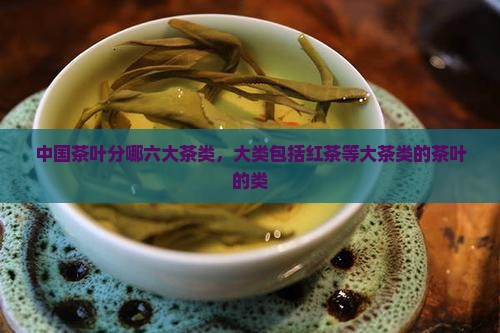 茶叶分哪两大类