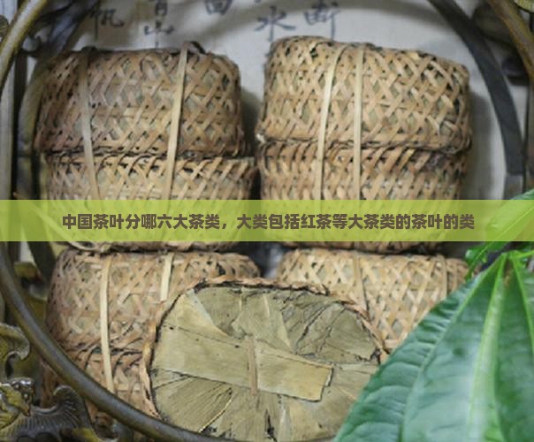 茶叶分哪两大类