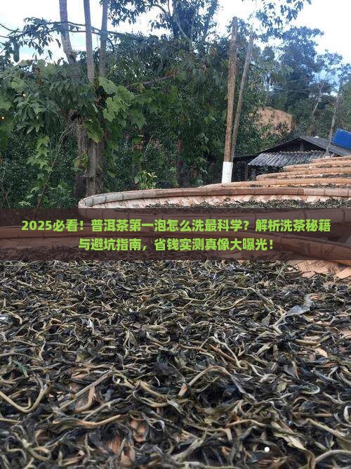 普洱茶第一泡是怎么洗啊