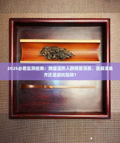 脾虚湿热可以喝普洱茶吗