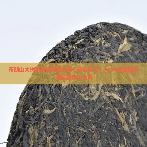 布朗山大树茶饼珍藏品价格