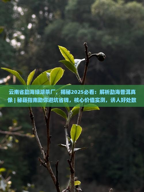 云南省勐海绿湖茶厂