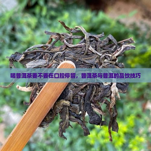 喝普洱茶要不要在口腔停留