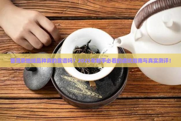 普洱茶地域品种特点