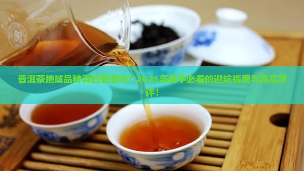 普洱茶地域品种特点