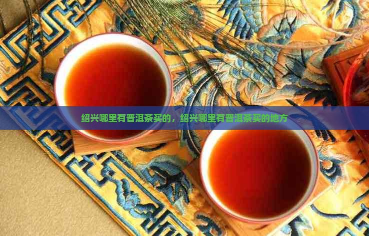 绍兴哪里有普洱茶买的