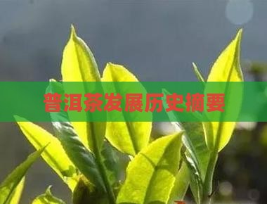 普洱茶发展摘要部分