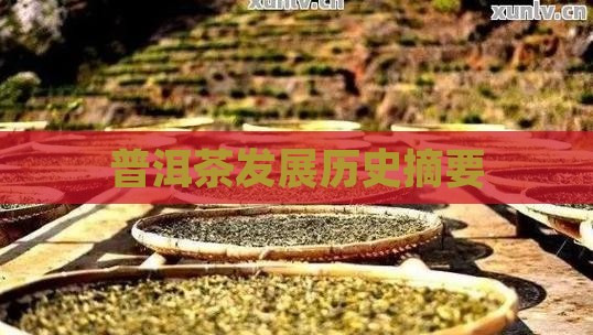 普洱茶发展摘要部分