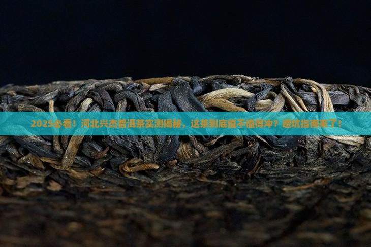 河北兴杰普洱茶怎样