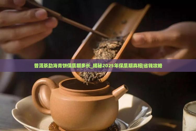 普洱茶勐海青饼保质期多长