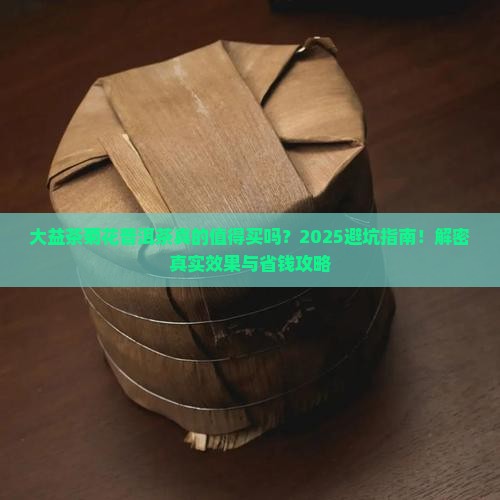 大益茶菊花普洱茶