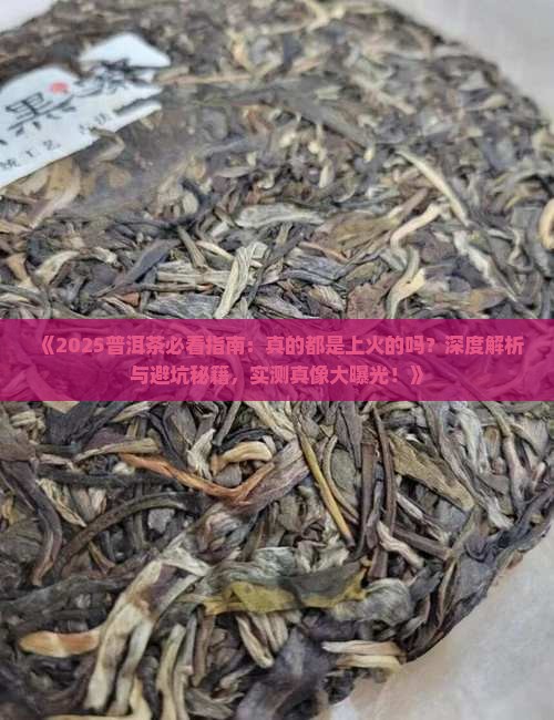 普洱茶都是上火的吗