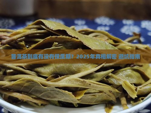 普洱茶有无保质期限