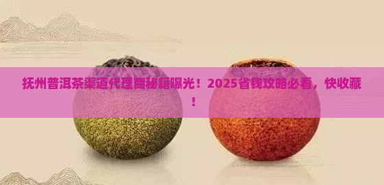 抚州普洱茶渠道代理商