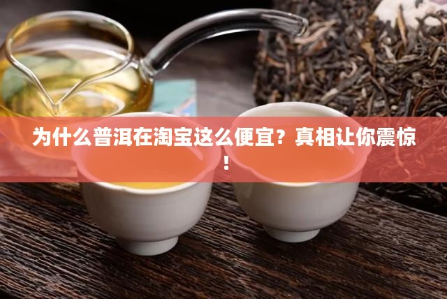 普洱为什么淘宝这么便宜