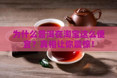 普洱为什么淘宝这么便宜
