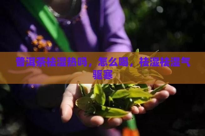 普洱茶祛湿热吗