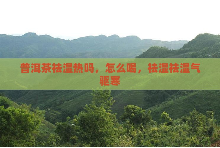 普洱茶祛湿热吗