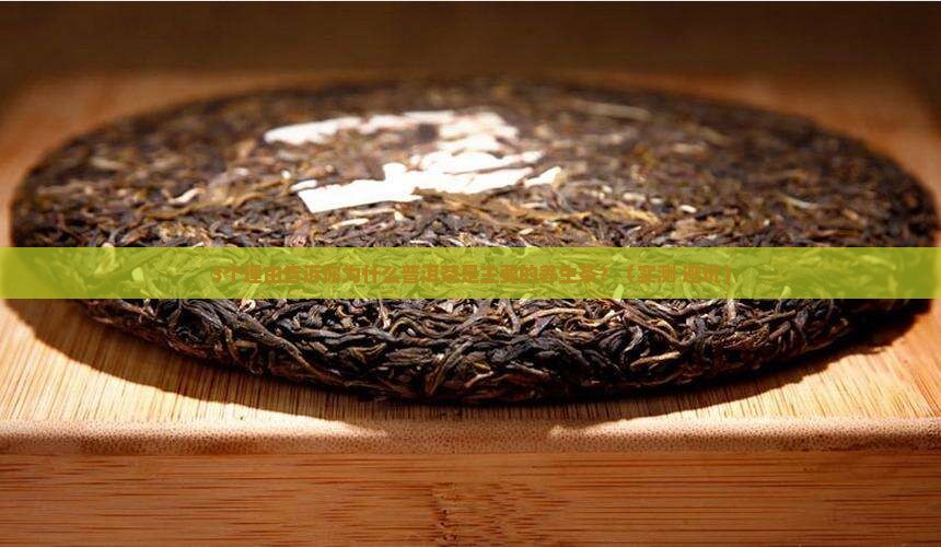 普洱茶是主要的什么茶
