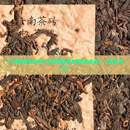 普洱茶是主要的什么茶