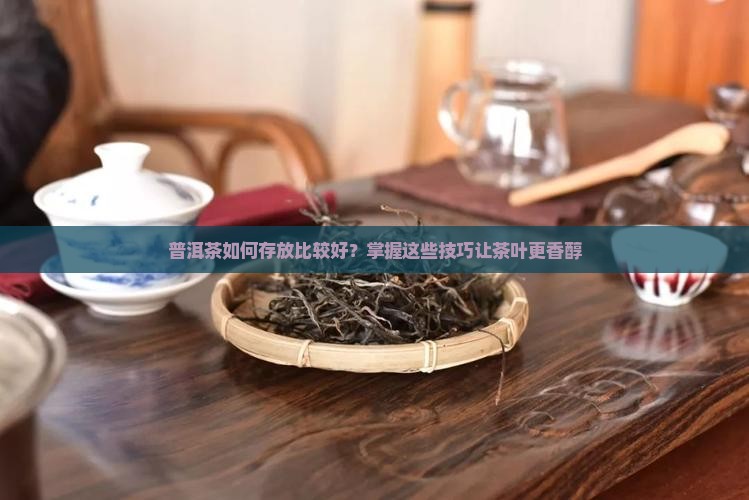 普洱茶如何存放比较好