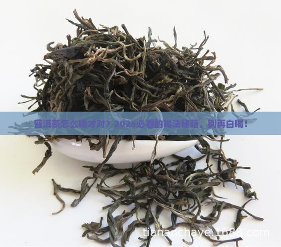 普洱茶的用法与用量