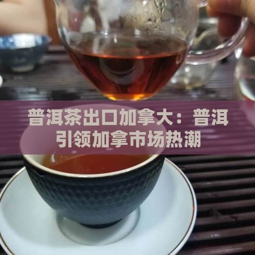普洱茶出口加拿大