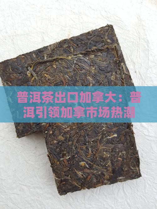 普洱茶出口加拿大