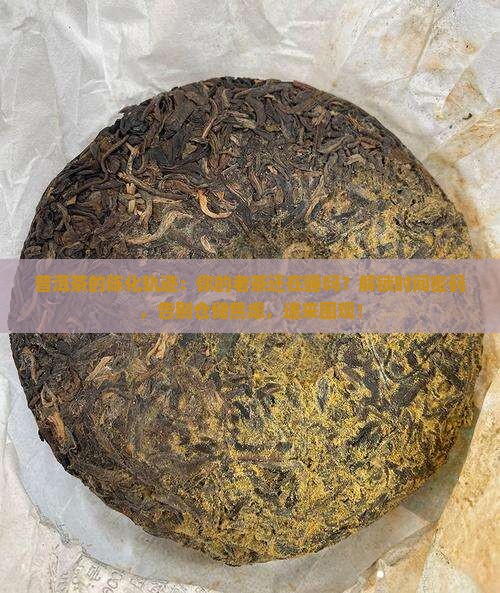 普洱茶的陈化轨迹