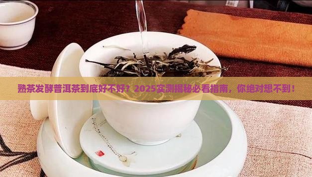 熟茶发酵普洱茶好吗