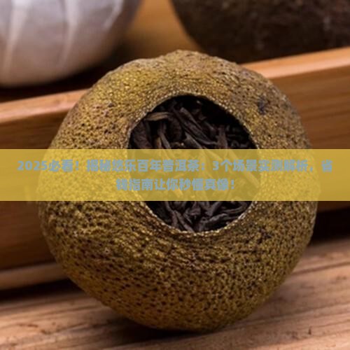 悠乐百年普洱茶