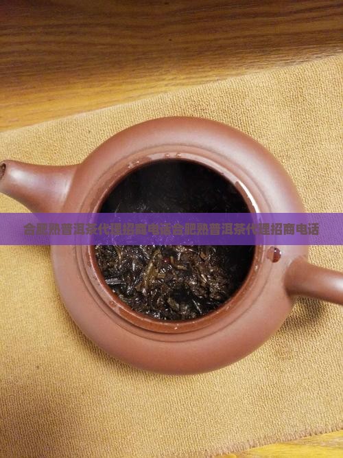 合肥熟普洱茶代理招商电话