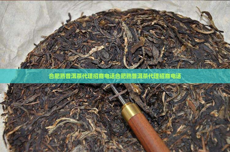 合肥熟普洱茶代理招商电话