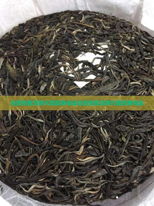 合肥熟普洱茶代理招商电话