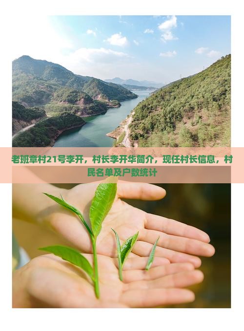 老班章村21号李开